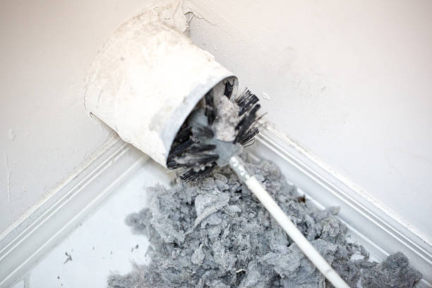 Best Dryer Vent Cleaning Services  in Green Valley, AZ